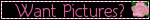pictureblinkie.gif